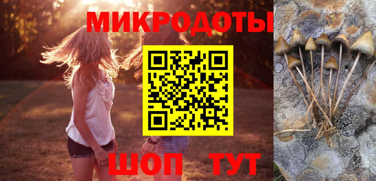 Псилоцибиновые грибы Psilocybine cubensis Сочи
