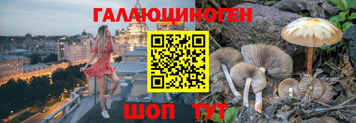 Сочи  Псилоцибиновые грибы GOLDEN TEACHER  где продают   Вход с VPN 